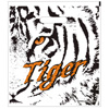 tigr.jpg